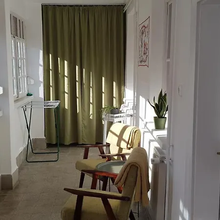 Hortenzia Vendeghaz *